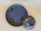 Japanese Tea Cup ティーカップ